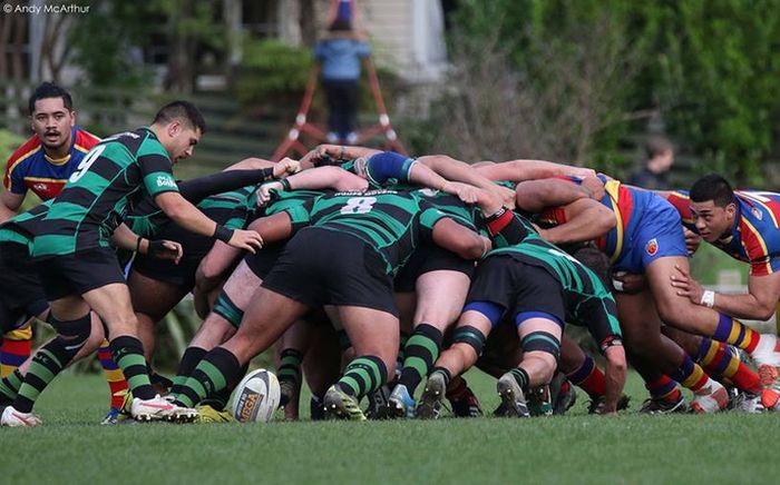 Best & Fairest Swindale Shield Form XV