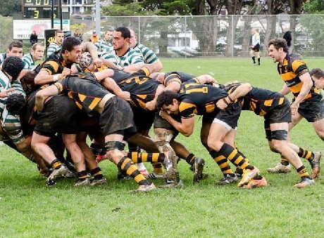 Wellington Axemen hoping to build on Jubilee Cup re-entry in 2016 