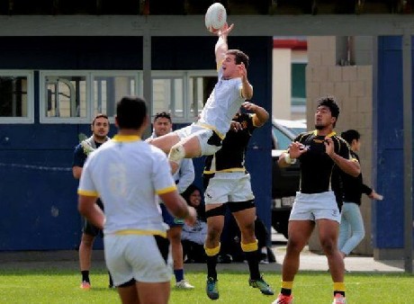 Summer of 7s rugby set to heat up