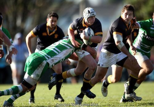 Former Petone flyhalf Cripps in Japanese Sunwolves squad