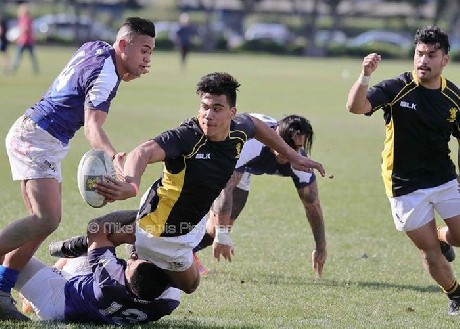 Wellington U19s, Pride headline representative matches at home