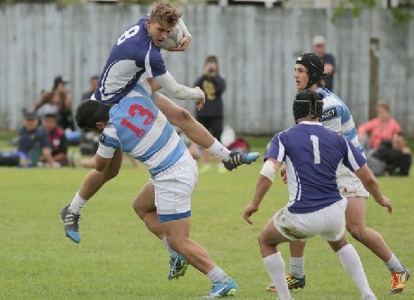 St Pats Town, Silverstream and St Marys Colleges primed for Condors this weekend 