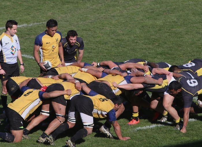 Wellington teams win well in representative rugby 