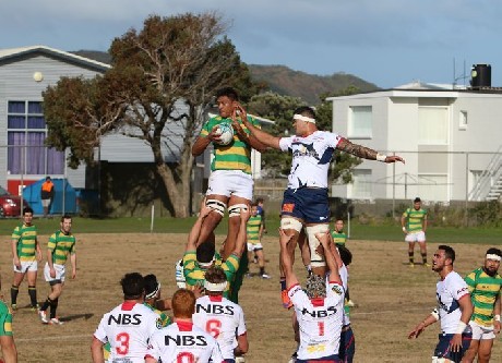 Wellington XV defeats Tasman Makos in NPC pre-season match