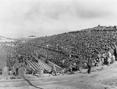 Wellington against international teams: versus British Lions 1950