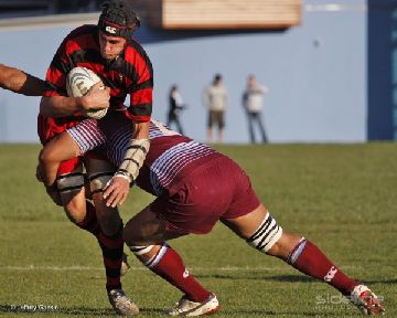 Frantic Final Fortnight In Jubilee Cup - Wellington Club Rugby